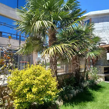 Guest house Zenith 4*