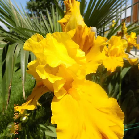 Affittacamere Zenith