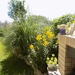 بيت ضيافة Zenith 4*