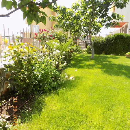 בית הארחה Zenith סוזופול